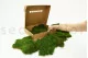 Preserved Sheet Moss (Box) 5