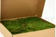 Preserved Sheet Moss (Box) 6