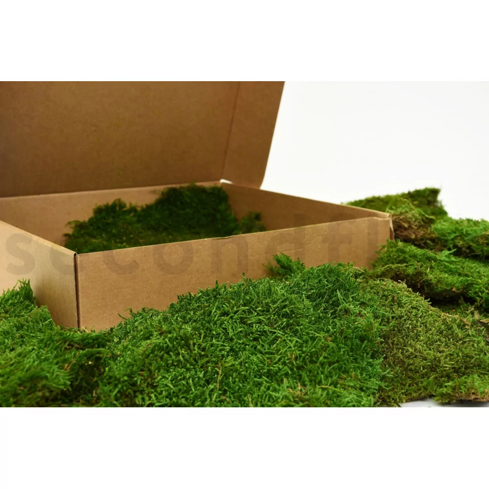 Stabilized Sheet Moss, Flat Moss, Preserved Moss