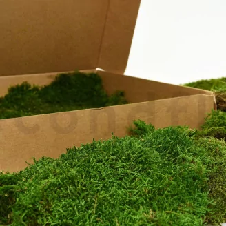 Preserved Sheet Moss (Box)