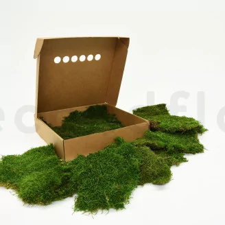 Preserved Sheet Moss (Box)