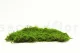 Preserved Sheet Moss (Box) 9