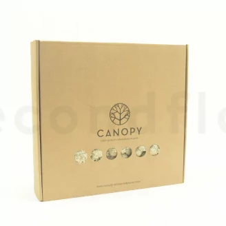 Preserved Reindeer Moss Cream (Box)