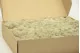 Preserved Reindeer Moss Cream (Box) 4