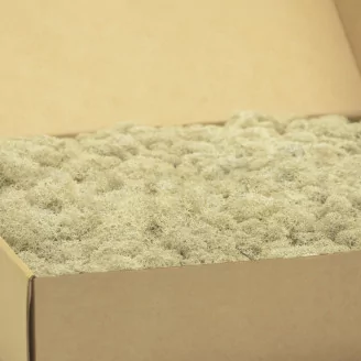 Preserved Reindeer Moss Cream (Box)