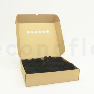 Preserved Reindeer Moss Black (Box)