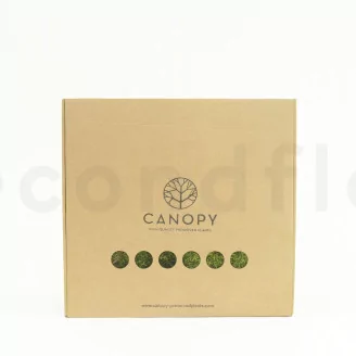 Preserved Sheet Moss (Box)