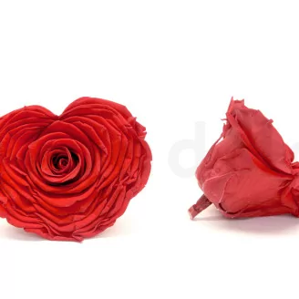Preserved Heart-Shaped Rose XXL Red