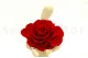 Preserved Mandala Rose XXL Red 4