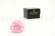 Preserved Mandala Rose XXL Pink 5
