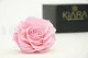 Preserved Mandala Rose XXL Pink 1