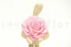 Preserved Mandala Rose XXL Pink 4