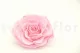 Preserved Mandala Rose XXL Pink 2