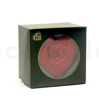 Preserved Heart-Shaped Rose XXL Red