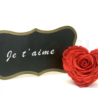 Preserved Heart-Shaped Rose XXL Red