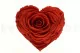 Preserved Heart-Shaped Rose XXL Red 2