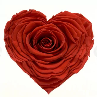 Preserved Heart-Shaped Rose XXL Red
