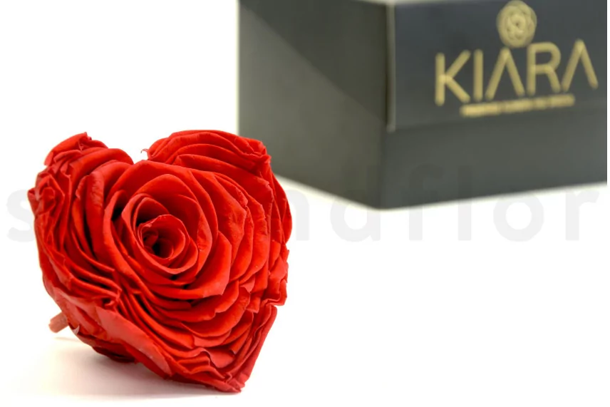 Preserved Heart-Shaped Rose XXL Red