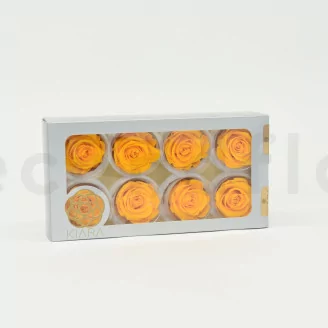 Preserved Rose L Sunny Yellow (set of 8)