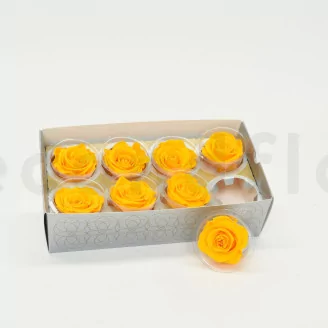 Preserved Rose L Sunny Yellow (set of 8)