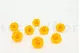 Preserved Rose L Sunny Yellow (set of 8) 2