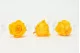 Preserved Rose L Sunny Yellow (set of 8) 4