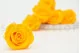Preserved Rose L Sunny Yellow (set of 8) 1