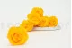 Preserved Rose L Sunny Yellow (set of 8) 10