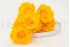 Preserved Rose L Sunny Yellow (set of 8) 7