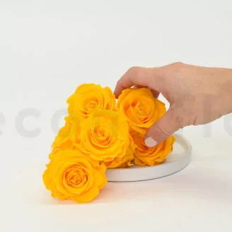 Preserved Rose L Sunny Yellow (set of 8)
