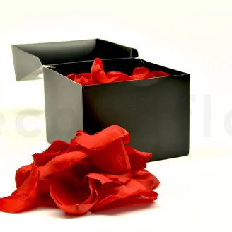 Preserved Rose Petal Red
