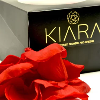 Preserved Rose Petal Red
