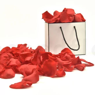 Preserved Rose Petal Red
