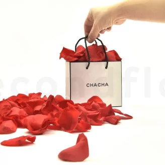 Preserved Rose Petal Red