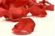 Preserved Rose Petal Red 10
