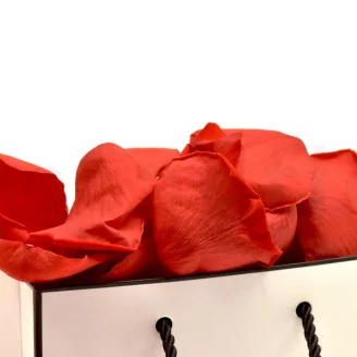 Preserved Rose Petal Red