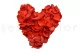 Preserved Rose Petal Red 3