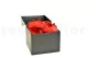 Preserved Rose Petal Red 9