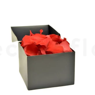 Preserved Rose Petal Red