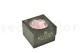 Preserved Rose Petal Bridal Pink 11