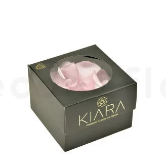 Preserved Rose Petal Bridal Pink
