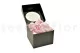 Preserved Rose Petal Bridal Pink 10
