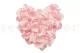Preserved Rose Petal Bridal Pink 3