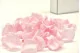 Preserved Rose Petal Bridal Pink 7
