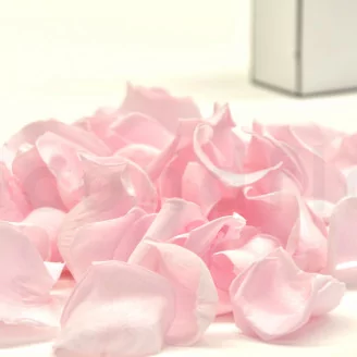 Preserved Rose Petal Bridal Pink
