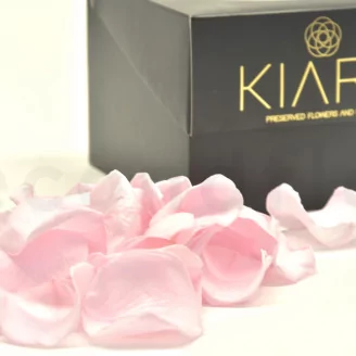 Preserved Rose Petal Bridal Pink