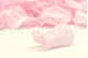 Preserved Rose Petal Bridal Pink 8