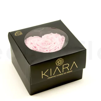 Preserved Heart-Shaped Rose XXL Pink