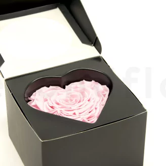 Preserved Heart-Shaped Rose XXL Pink