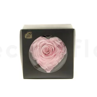 Preserved Heart-Shaped Rose XXL Pink